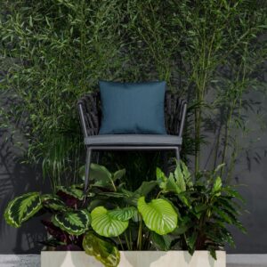 Zovika Braided and Rope Chair
