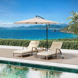 Zovika 2-Piece Wicker Lounger Set